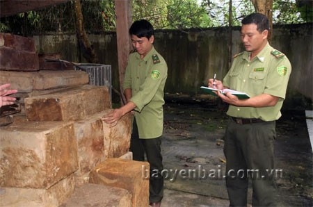 'Pha rung tai Yen Bai rat tinh vi va phuc tap' hinh anh 1