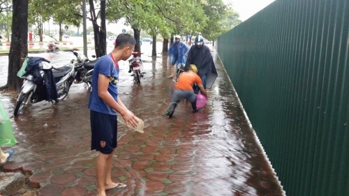 Bão số 3 quần thảo, người Hà Nội đổ xô ra đường bắt cá - Ảnh 3