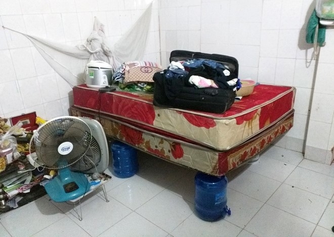 Bao so 3 giat cap 12 do bo vao Hai Phong, Thai Binh hinh anh 2