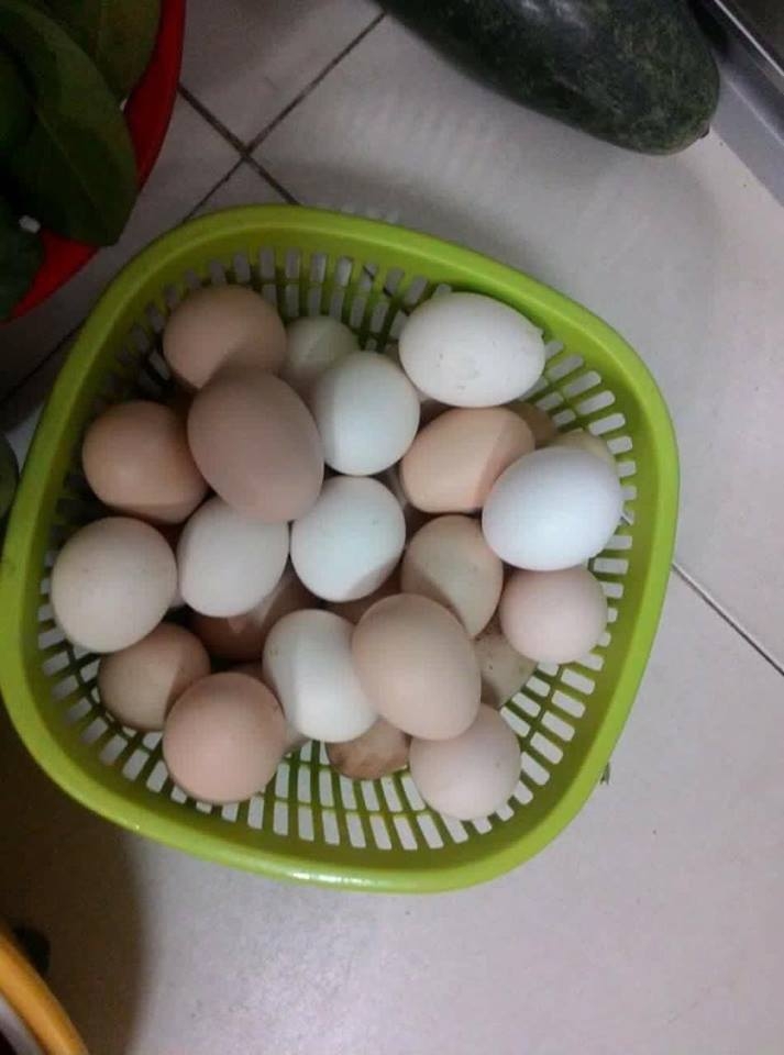 bão số ba, chung cư, công sở, dân công sở, tích trữ đồ ăn