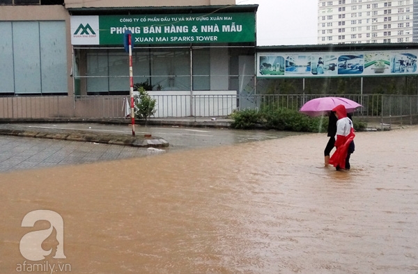 Dương nội