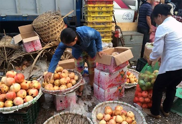 lựu trung quốc, lựu việt nam, trung quốc, hoa quả trung quốc, hoa quả việt nam, chợ đầu mối long biên, lựu tàu, hoa quả tàu