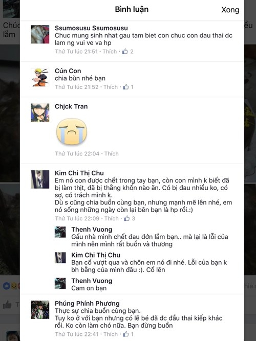 Quá thương thú cưng, chàng trai mua tủ đông để ướp xác chó 6