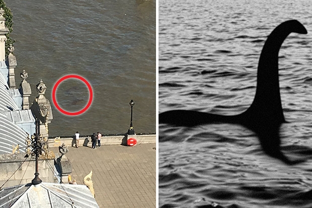 'quai vat ho loch ness' bi bat gap xuat hien tren song thames? hinh anh 1