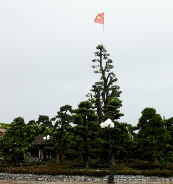 Cận cảnh, dinh thự, Nam Bộ, đại gia, Trầm Bê, Trà Vinh, lâu đài, biệt thự, cây cảnh, nội thất