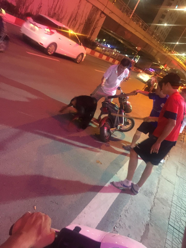 Clip: Người chủ ôm chú chó Doberman bị trọng thương gào thét giữa đường phố Hà Nội - Ảnh 3.