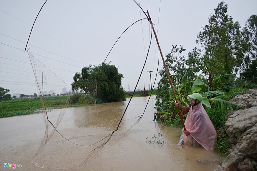Danh bat ca tren via he, song ho sau mua lon hinh anh 5