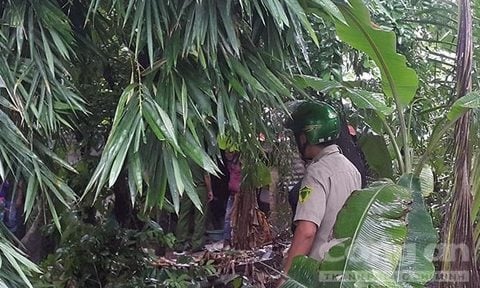 vu nguoi dan ong bi sat hai bang bua ta: nghi pham sa luoi hinh anh 1