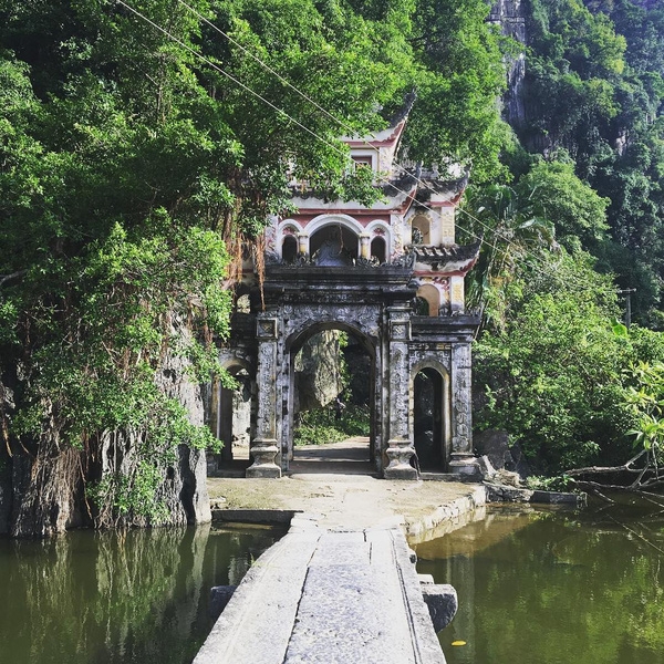 bích động