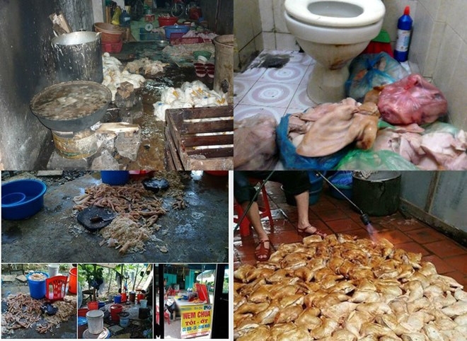 thực phẩm bẩn, thực phẩm sạch, ung thư, mâm cơm hóa chất, người việt giết người việt, ung thư do thực phẩm bẩn
