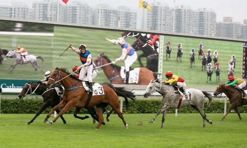 cuoc-choi-tram-trieu-usd-quanh-cac-truong-dua-ngua