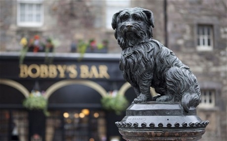  Tượng của chú chó Greyfriars Bobby đặt tại TP Edinburgh - Scotland. Ảnh: Rex Features 