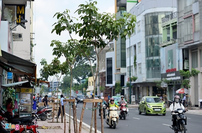Duong moi thong thoang o cua ngo san bay Tan Son Nhat hinh anh 9