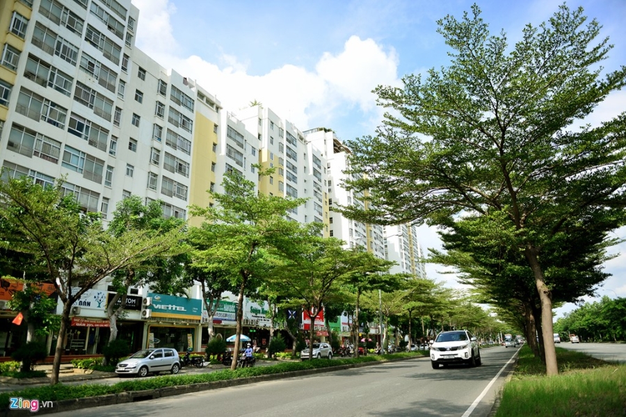 Toan canh khu nha giau Sai Gon bi mui hoi bao phu hinh anh 12