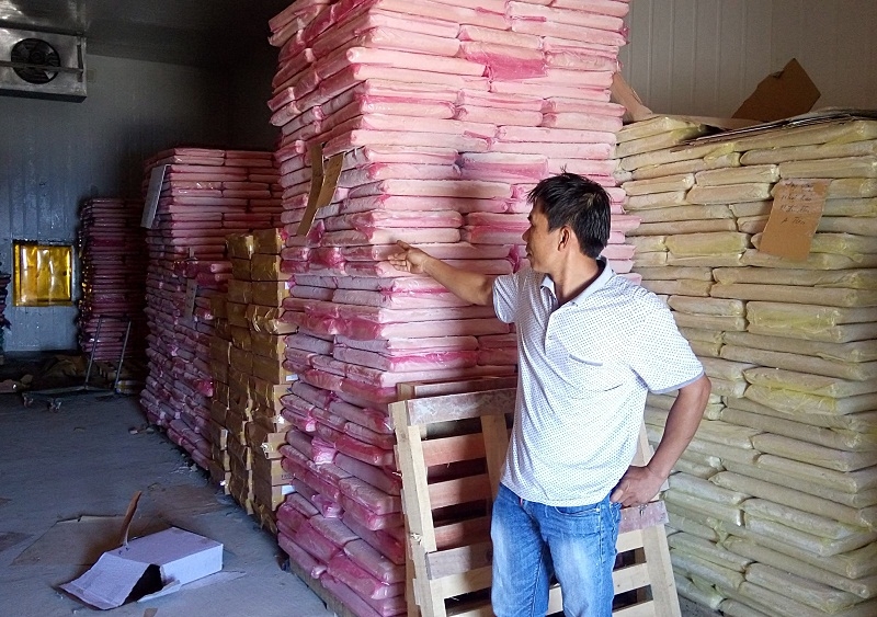 Cá biển các doanh nghiệp thu mua còn tồn đọng ở các kho chứa mà không biết phải tiêu thụ như thế nào.