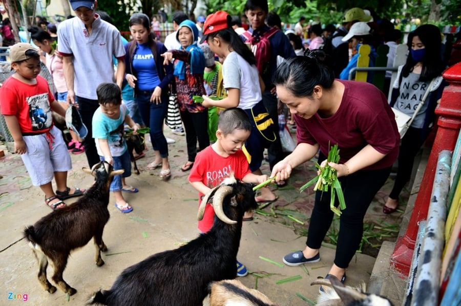 Nhe nhai mo hoi khi vui choi vuon thu o Sai Gon hinh anh 8