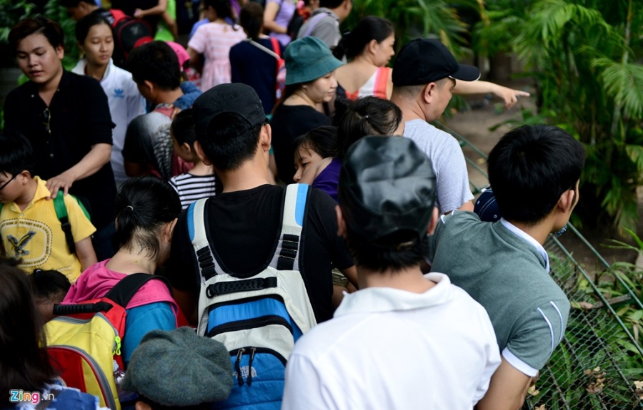 Nhe nhai mo hoi khi vui choi vuon thu o Sai Gon hinh anh 11