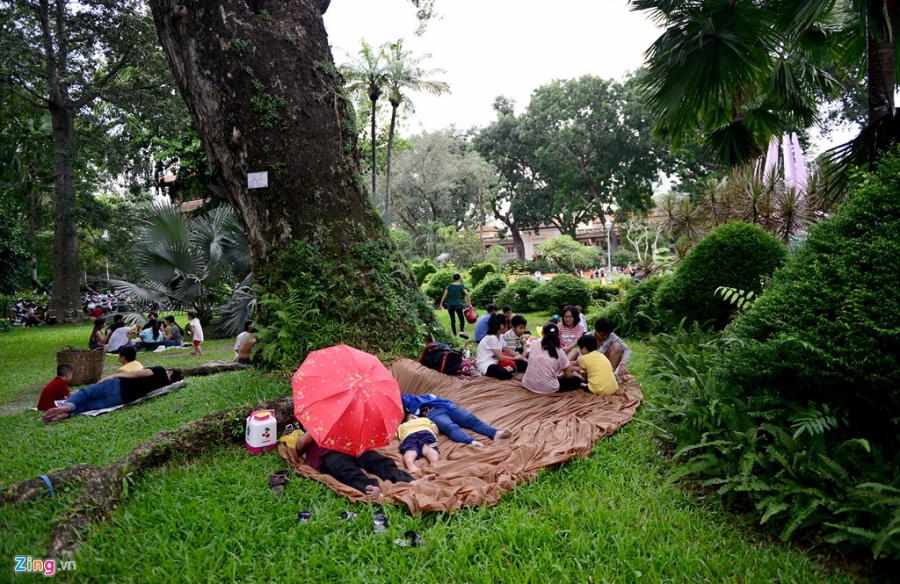 Nhe nhai mo hoi khi vui choi vuon thu o Sai Gon hinh anh 15