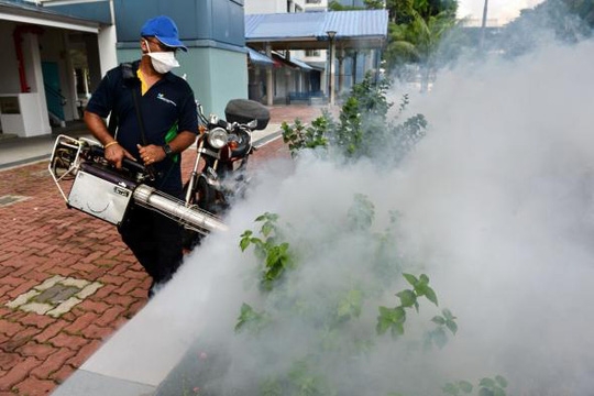 Singapore đang khẩn trương ngăn chặn sự lây lan của virus Zika Ảnh: Straits Times