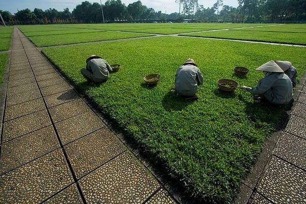 quảng trường Ba Đình