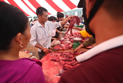 phuc-tho-lai-to-chuc-choi-trau-2