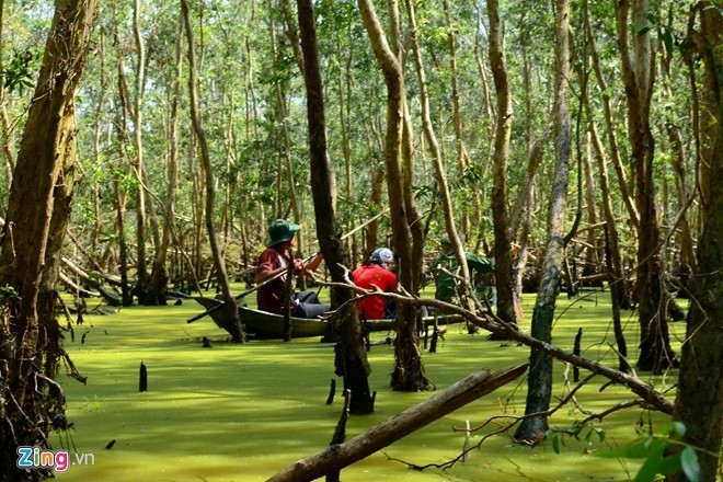 điểm đến, du lịch, tam giác mạch, Hà Giang, Huế, Tây Ninh