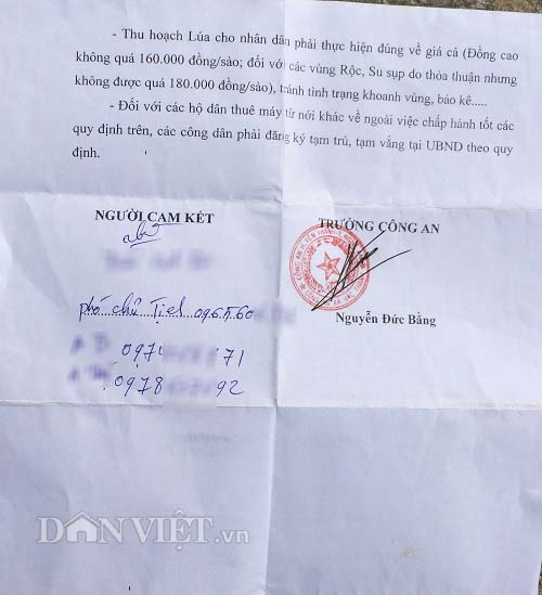 nghe an: di gat thue van phai dong phi? hinh anh 2