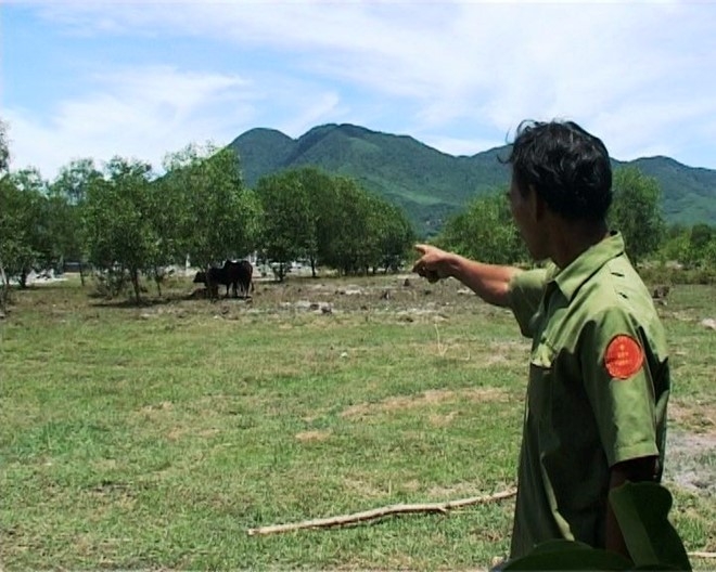 Chong xot xa om thi the vo sau khi bi bo huc tu vong hinh anh 1