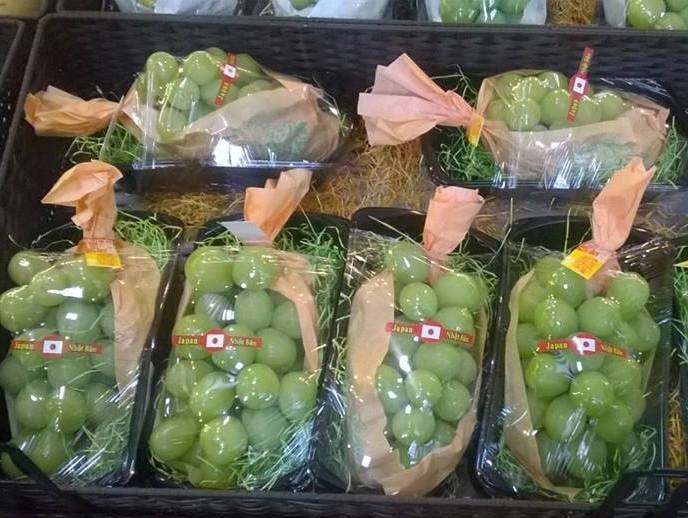 nho xanh, nho xanh không hạt Nhật bản, nho nhật bản, nho mỹ, nho úc, nho trung quốc, giới nhà giàu
