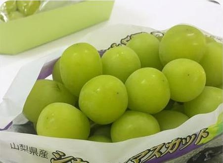 nho xanh, nho xanh không hạt Nhật bản, nho nhật bản, nho mỹ, nho úc, nho trung quốc, giới nhà giàu