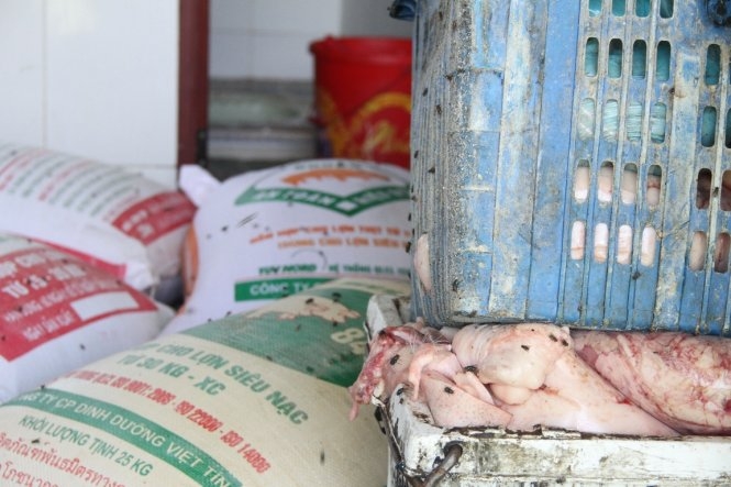 Lò mỡ bẩn lúc nhúc ruồi bên bãi rác ở Đà Nẵng 