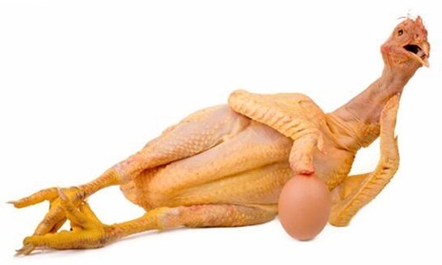 Ăn thịt gà nên tránh bộ phận nào không tốt sức khỏe