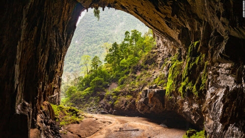 du khach ngo sap gap khung long khi toi son doong hinh anh 5
