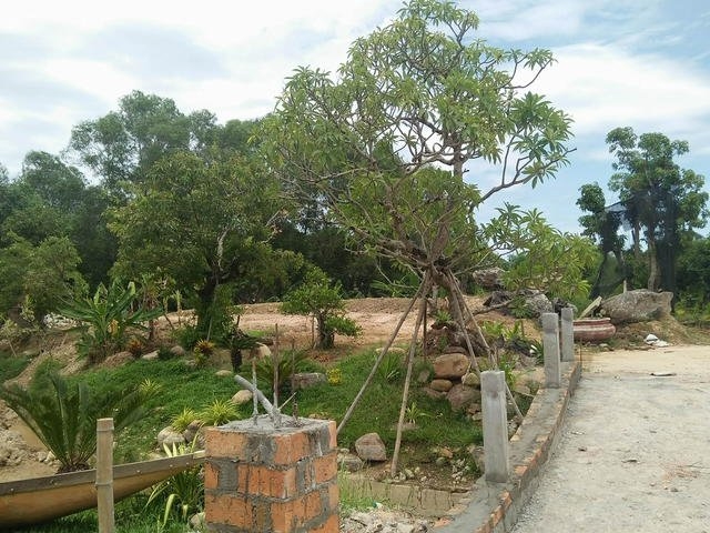 Giám đốc sở, Thừa Thiên Huế, biệt phủ, xây dựng trái phép