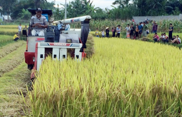 nghe an: phat hien them nhieu xa “an tien