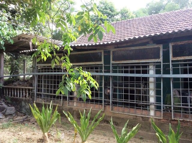 Các dãy nhà cấp 4