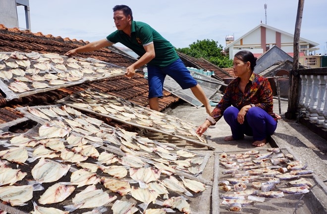 Thuy trieu do lam ca chet hang loat o Thanh Hoa hinh anh 2