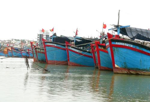 Tàu thuyền đánh bắt gần bờ đã vào neo đậu ở Khánh Hòa. Ảnh: Xuân Ngọc