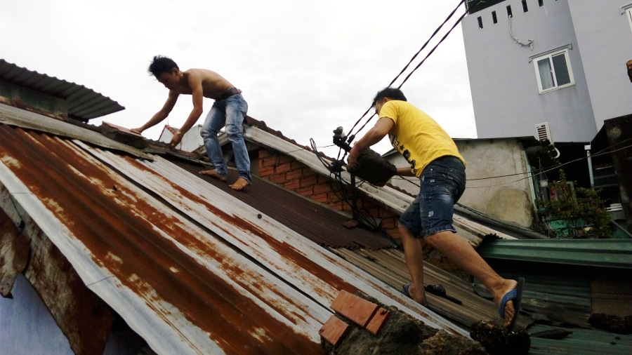 Bão số 4 'tấn công' miền Trung: Cây xanh ngã đổ la liệt, người đi đường bị gió thổi liêu xiêu - ảnh 8