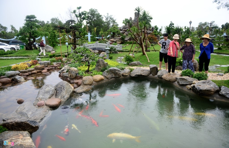 Toan canh nha tho To cua Hoai Linh o Sai Gon hinh anh 16