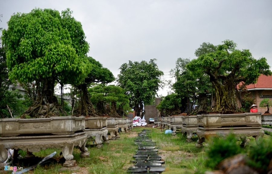 Toan canh nha tho To cua Hoai Linh o Sai Gon hinh anh 18