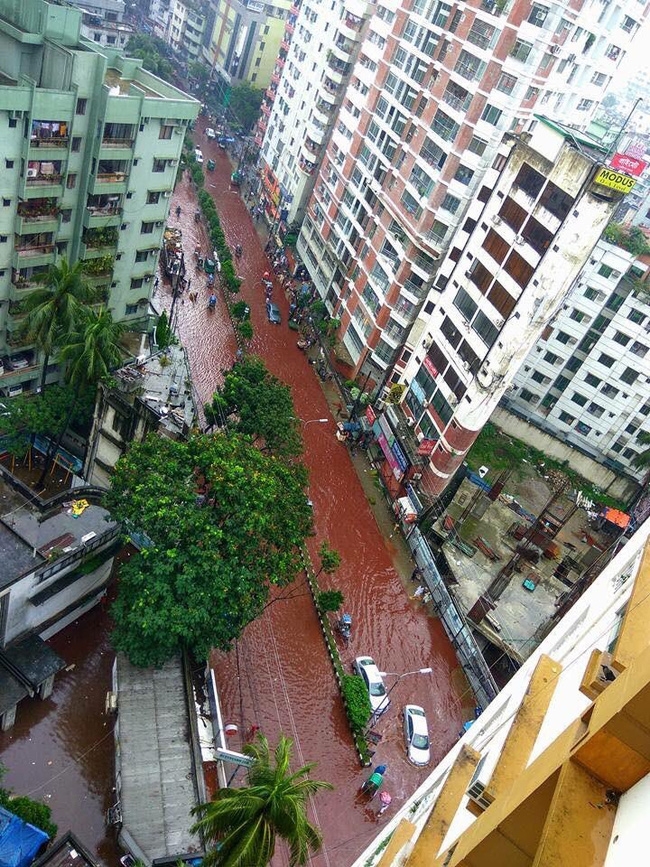Đường phố nhuộm màu đỏ máu trong lễ hiến sinh của người Hồi giáo khiến ai cũng phải rùng mình - Ảnh 6.