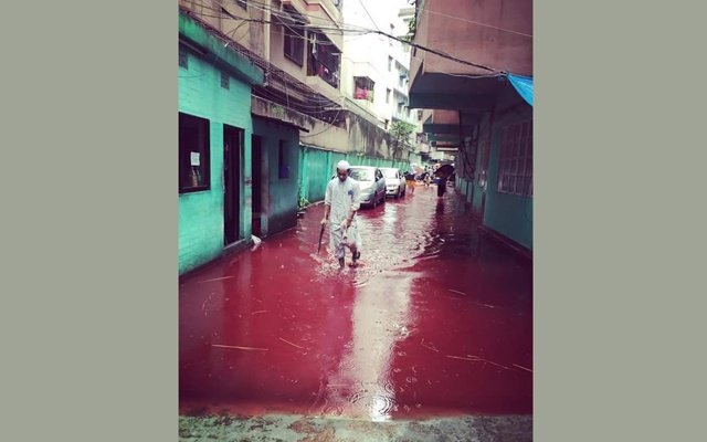 Đường phố nhuộm màu đỏ máu trong lễ hiến sinh của người Hồi giáo khiến ai cũng phải rùng mình - Ảnh 8.