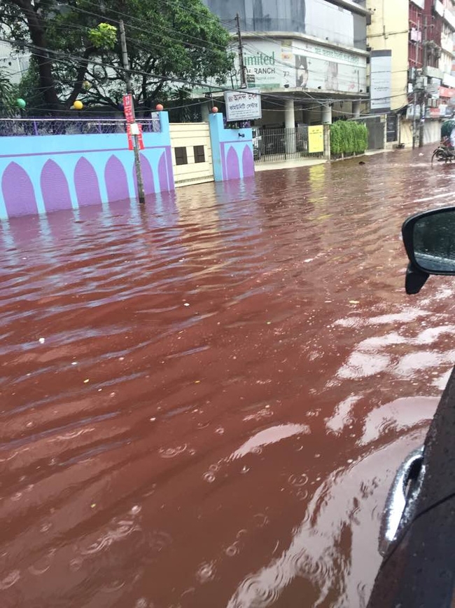 Đường phố nhuộm màu đỏ máu trong lễ hiến sinh của người Hồi giáo khiến ai cũng phải rùng mình - Ảnh 10.