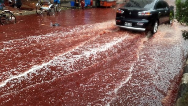Đường phố nhuộm màu đỏ máu trong lễ hiến sinh của người Hồi giáo khiến ai cũng phải rùng mình - Ảnh 12.