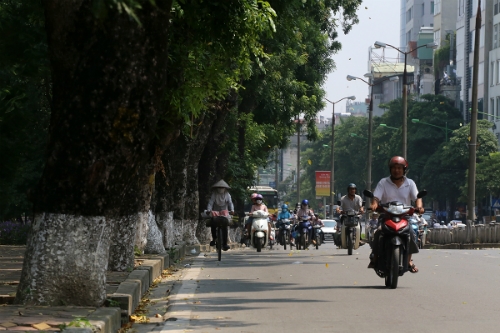 don-vi-di-chuyen-xa-cu-co-thu-o-ha-noi-khong-dam-bao-cay-song-100-1
