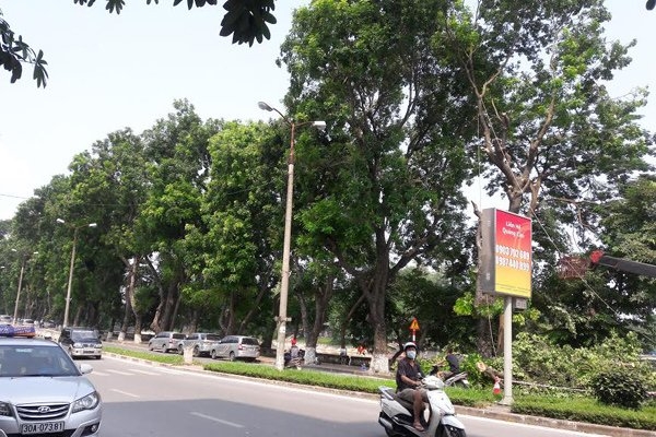 Hà Nội, chặt hạ cây xanh, đường sắt đô thị