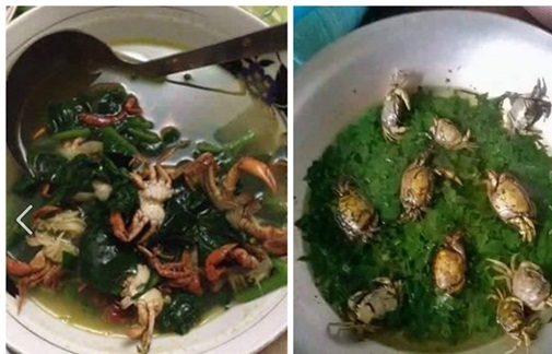 Bánh trung thu sốt cà chua kiểu mới khiến chị em phát hoảng