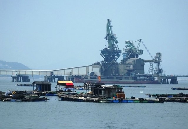 cá chết, cá chết ở Nghi Sơn, xả thải, vệt nước đen, công ty lọc hóa dầu Nghi Sơn, Thanh Hóa