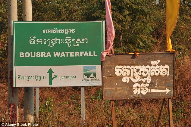 campuchia: voi giet chu roi lao theo “ban gai” vao rung hinh anh 2